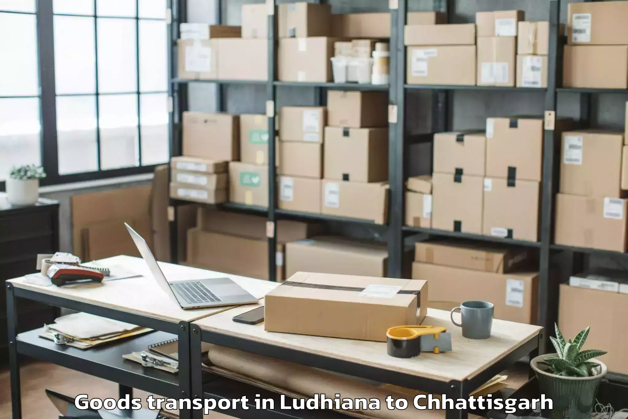 Affordable Ludhiana to Pandit Ravishankar Shukla Univ Goods Transport